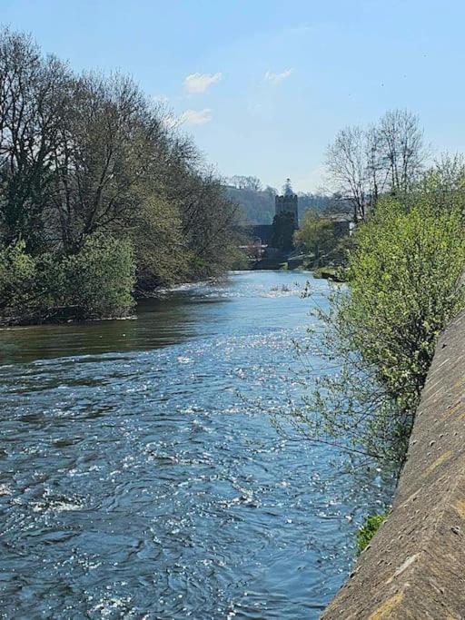 Riverside Retreat Llandysul Exterior foto