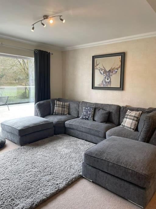 Riverside Retreat Llandysul Exterior foto